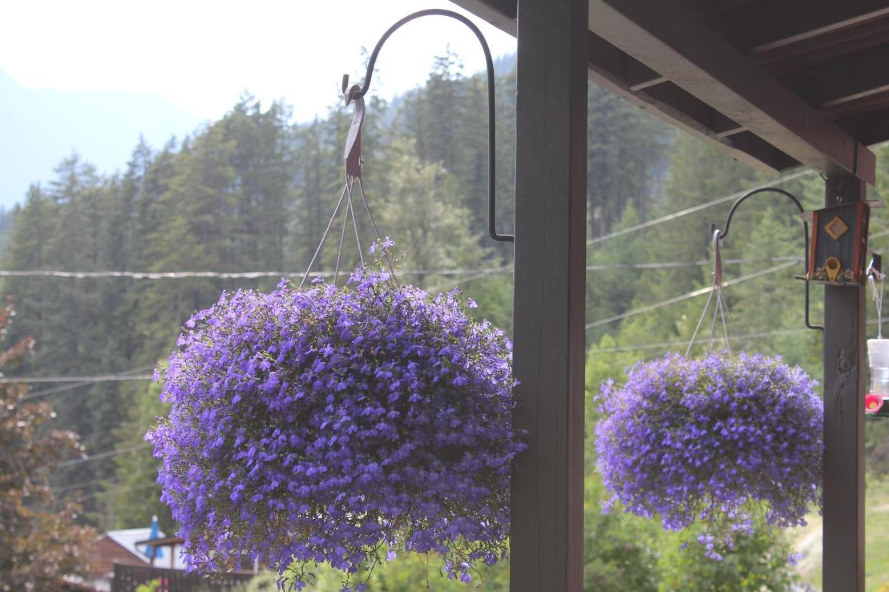Chalet Sunny Bluffs *